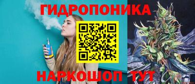 тгк Можга